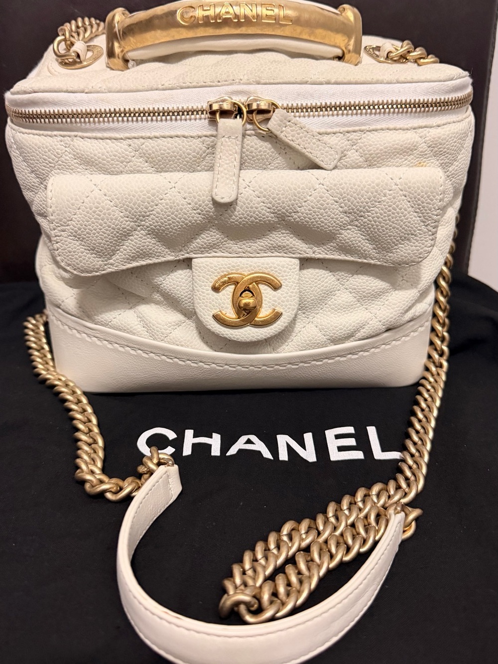 CHANEL 2013 Globe Trotter Quilted Vanity Bag
